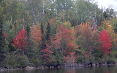 Tuesday September 15, 2020