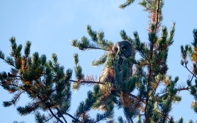 Wednesday September 30, 2020