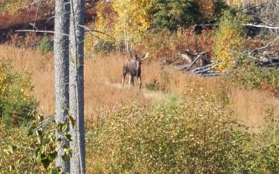 Tuesday September 29, 2020