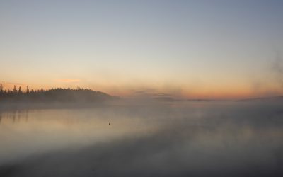 Tuesday October 20, 2020