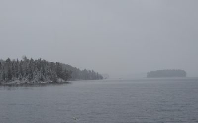 Wednesday October 21, 2020