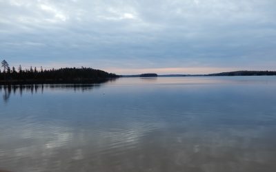 Friday October 23, 2020