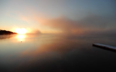 Friday October 30, 2020