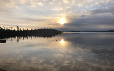 Friday October 16, 2020