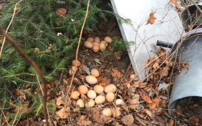 Thursday October 22, 2020