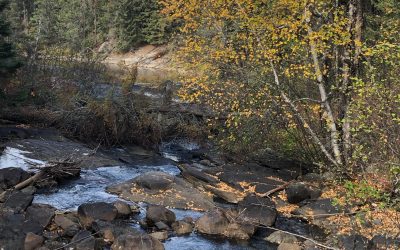 Saturday October 17, 2020