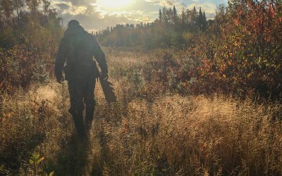 Sunday October 4, 2020