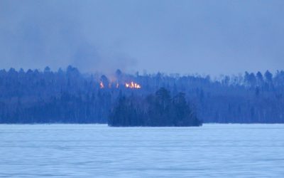 Sunday November 22, 2020