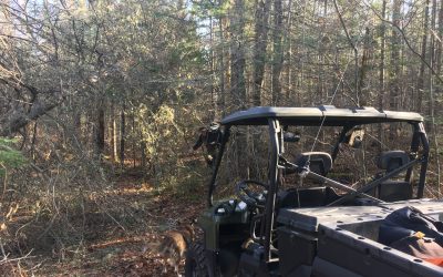 Friday November 13, 2020