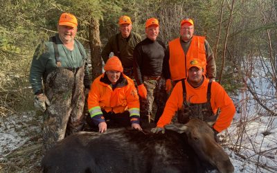 Tuesday November 3, 2020