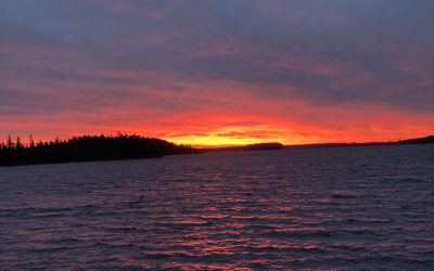 Saturday November 14, 2020