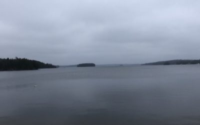 Sunday November 15, 2020