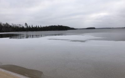 Monday November 16, 2020