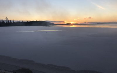 Tuesday November 17, 2020