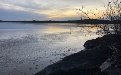 Thursday November 19, 2020