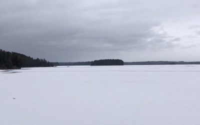 Friday November 20, 2020