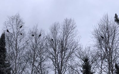 Monday November 23, 2020