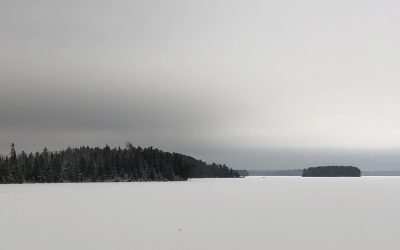 Wednesday November 25, 2020