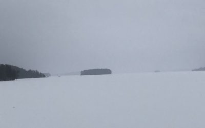 Thursday November 26, 2020