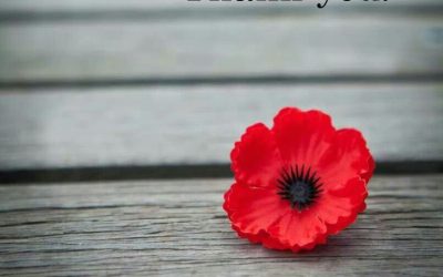 Wednesday November 11, 2020