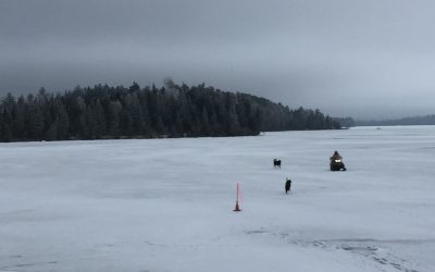 Monday December 7, 2020