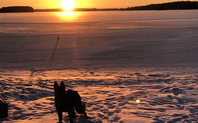 Tuesday December 1, 2020