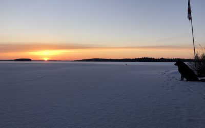 Wednesday December 2, 2020