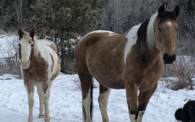 Thursday December 3, 2020