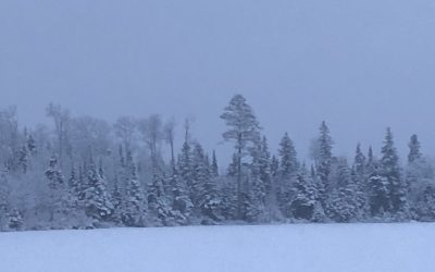 Thursday December 10, 2020