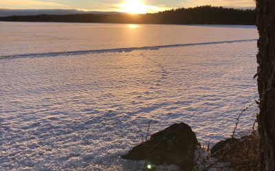 Sunday December 13, 2020