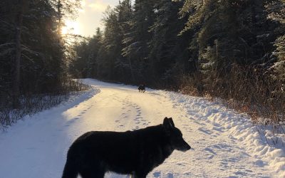 Tuesday December 15, 2020