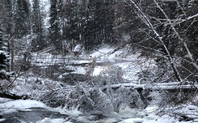 Wednesday December 16, 2020