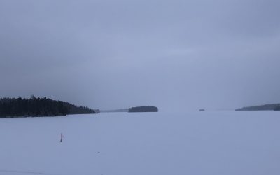 Monday December 21, 2020