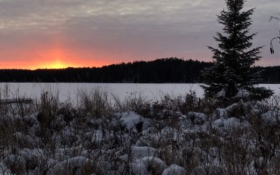 Tuesday December 22, 2020