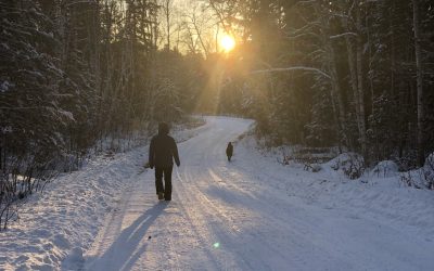 Sunday December 27, 2020