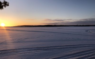 Monday December 28, 2020