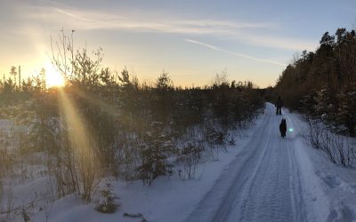 Tuesday December 29, 2020