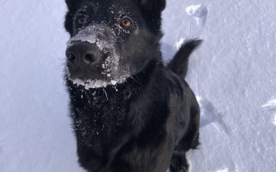 Wednesday December 30, 2020