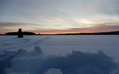 Friday January 1, 2021