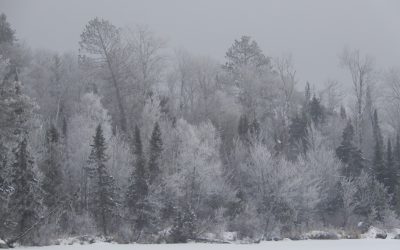 Thursday January 7 2021