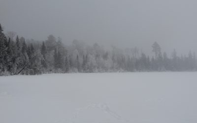 Friday January 8, 2021