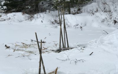 Tuesday January 19, 2021