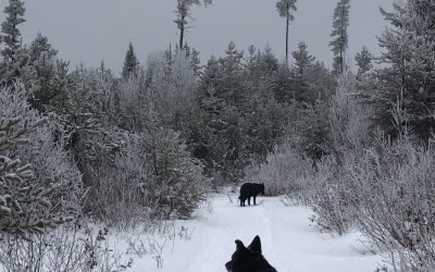 Saturday January 9, 2021