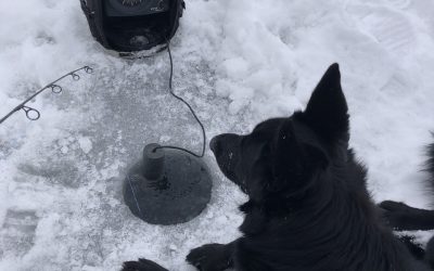 Monday January 1, 2021