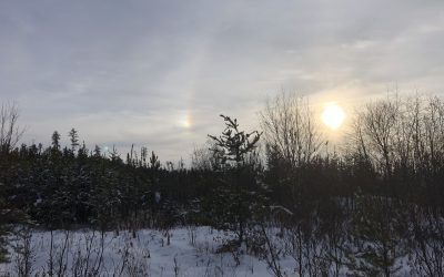 Wednesday January 13, 2021