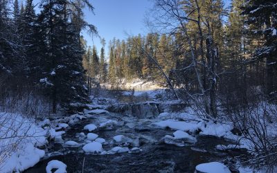 Friday January 15, 2021