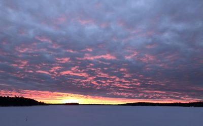 Friday January 22, 2021