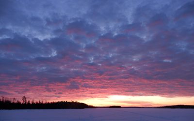 Wednesday February 3, 2021