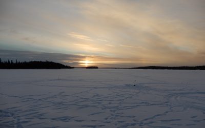 Friday February 5, 2021