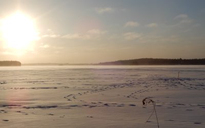 Saturday February 6, 2021